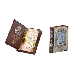Чай чорний Basilur Зимова книга том ІІ, 100 г (481263) - мініатюра 2