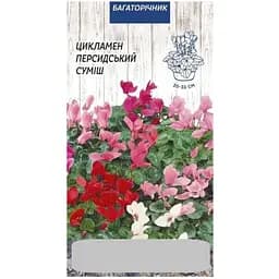 Цикламен Семена Украины Персидский (5шт семян) смесь  