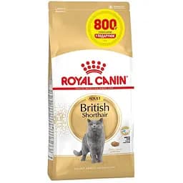 Сухой корм для британских короткошерстных кошек Royal Canin British Shorthair Adult с мясом птицы 3.2 кг + 800 г