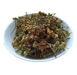 Пижмо Квіти Дика горобинка Пижма Приворотень Tanacetum vulgare