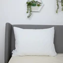 Чохол на подушку ТЕП Sleepcover (3-03827_00000) - мініатюра 2