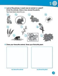 Macmillan Science. Level 1. Workbook - мініатюра 4