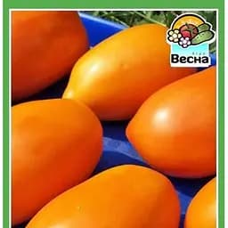 Семена Весна Томат Банан 0.2 г (10445)