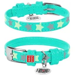 Нашийник для собак Waudog Glamour шкіряний з QR паспортом, візерунок Зірочка, світиться/світловідбивний, XS, Ш 12 мм, Дов 21-29 см (2035841300000)