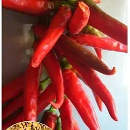 Насіння Весна на вагу Перець гострий Тещин язик ціна за 2 г (22007)