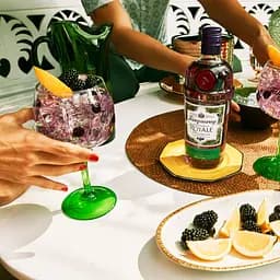 Джин Tanqueray Blackcurrant Royale 41.3%, 0.7 л - мініатюра 5