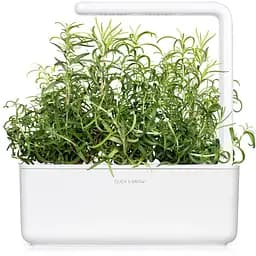 Змінний картридж Click & Grow Smart Garden Розмарин, 3 капсули (8936) - мініатюра 5