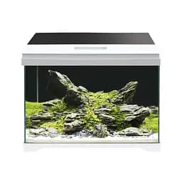 Аквариум на 40 литров Amtra MODERN TANK 50 LED 50.5 x 25.5 x 40 см стекло 5 мм