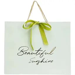 Пакет подарунковий YY050914 M М'ятний