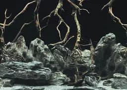 Акваріумний задній фон Aqua Nova Синє море/Камені з корчами 60x30 см (TREE ROOTS/WATER S) - мініатюра 3