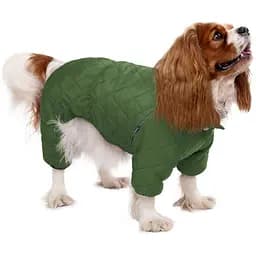 Комбінезон для собак Barksi Textile розмір S зелений