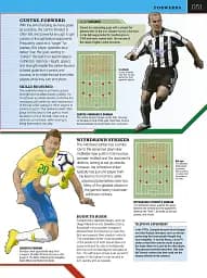 The Football Book - мініатюра 17