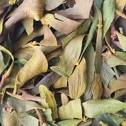 100 г омела белая лист сушеный - свежий урожай