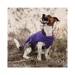 Жилет Pet Fashion E.Vest для собак, розмір M, фіолетовий - мініатюра 4