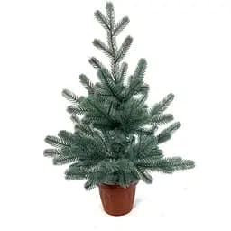 Ялинка Hvoya Traditional лита в горщику 50 см блакитна