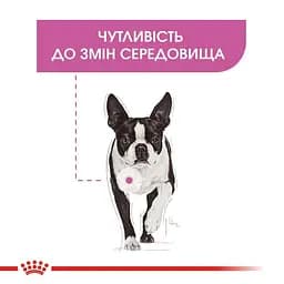 Сухий корм для собак малих порід, чутливих до змін середовища Royal Canin Mini Relax Care, 3 кг (1224030) - мініатюра 3