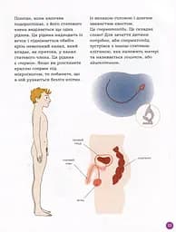 Енциклопедія статевого життя. 7-9 років - мініатюра 7
