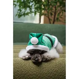 Попона для собак Pet Fashion Santa XS зелена - мініатюра 6