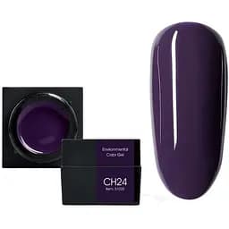 Мус-гель кольоровий Canni CH24, 5 г фіолетовий