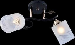 Люстра декоративна V DA5147B/2 Black+Gold на 2 плафони