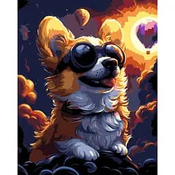 Набор для росписи по номерам Strateg Корги в очках на черном фоне 40 х 50 см (AH1212-19)