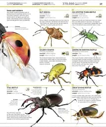 Knowledge Encyclopedia Animal! - мініатюра 5