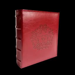 Альбом UFO PU-68100 Eleganze 15x20x100см (PU-68100 Eleganze)