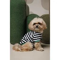 Футболка Pet Fashion Breeze для собак М - мініатюра 7