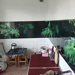 Кухонний вініловий фартух Листя Монстерри ПВХнаклейка монстера зелений 60х300 см Happy Pocket Z180254 - мініатюра 10