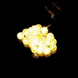 Гирлянда WW5269 20 LED Разноцветный (NY)
