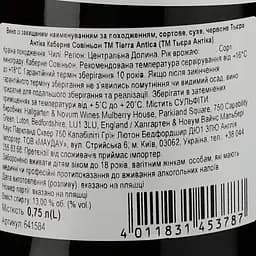 Вино Tierra Antica Merlot червоне сухе 0,75 л - мініатюра 3