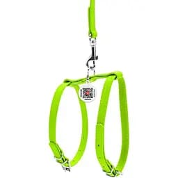 Шлея з повідцем для собак Waudog Glamour, шкіряна, з QR паспортом, 25-33х35-43х1,2/115 см, салатовий (34005) - мініатюра 2