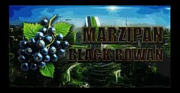 Марципан Lorizio з чорноплідною горобиною "Black rowan" 