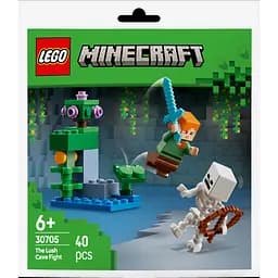 Конструктор LEGO Minecraft Бой в пещере с зарослями 40 деталей (30705)