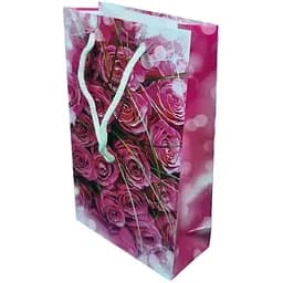 Пакет подарунковий 11х18х5 см 12 шт.