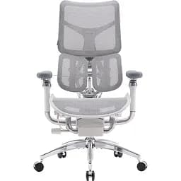 Кресло офисное Sihoo Doro S300 Mesh Light Grey (S300-M202)