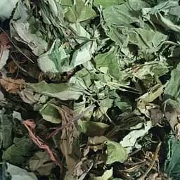 100 г медуница лекарственная трава сушеная - свежий урожай