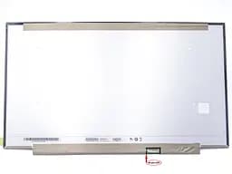 Матриця B173ZAN06.8 17.3" Slim eDP 390mm 3840х2160, IPS, 120Hz, 40pin, без кріплень, матова 100% RGB