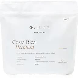 Кофе в зернах Gidna Roastery Costa Rica SHB Espresso 250 г