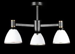 Люстра стельова Splendid Ray LGH50230A/3, 3 лампи E27, 50 см, чорний, білий, золото, сучасний стиль для дому