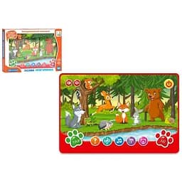 Планшет учебный, музыкальные звуки (на украинском), на батарейках, SK0036ABC