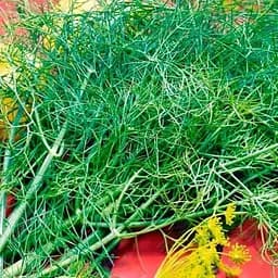 Семена Весна Укроп Деликатесный Зипер 7 г (177299)