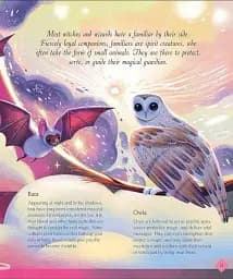 The Book of Mysteries, Magic, and the Unexplained - мініатюра 3