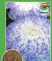 Насіння Весна Айстра Фламір біло-блакитний 0.2 г (11187)