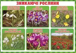 Тека вчителя. Між минулим та майбутнім (жовтень). 3 клас - мініатюра 2