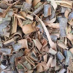 100 г рябина красная кора сушеная - свежий урожай