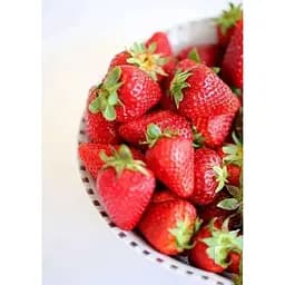 Саджанець Agro-Market Полуниця яскраво-червона Солодка шоколадка (Sweet chocolate) 5 шт (американська селекція, преміальний ремонтантний сорт) (44699) - мініатюра 4