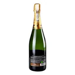 Вино ігристе Lo Sparviere Franciacorta Cuvee 7, 12,5%, 0,75 л (746872) - мініатюра 3