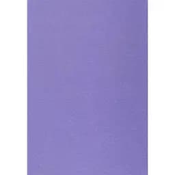 Набор фетра Santi жесткий 21 х 30 см 10 листов аметистовый (741830)
