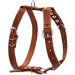 Шлея Collar одинарна для середніх собак (ширина 25мм, А:49-68см, В:68-80см) коричневий